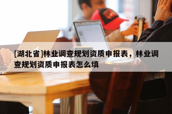 [湖北省]林業(yè)調查規(guī)劃資質申報表，林業(yè)調查規(guī)劃資質申報表怎么填