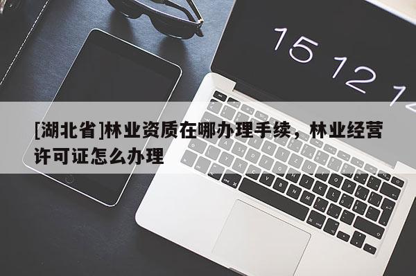 [湖北省]林業(yè)資質(zhì)在哪辦理手續(xù)，林業(yè)經(jīng)營許可證怎么辦理