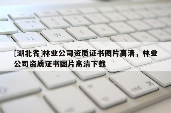 [湖北省]林業(yè)公司資質(zhì)證書圖片高清，林業(yè)公司資質(zhì)證書圖片高清下載