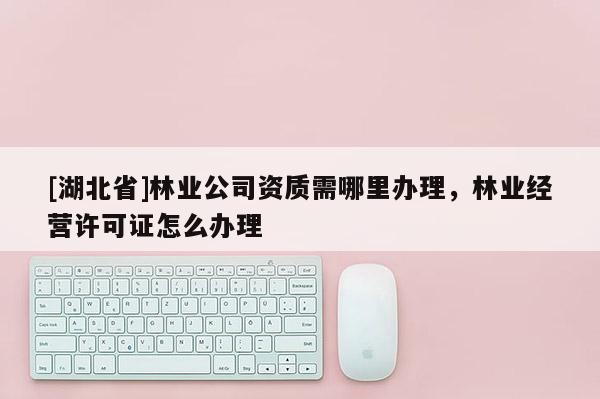 [湖北省]林業(yè)公司資質(zhì)需哪里辦理，林業(yè)經(jīng)營(yíng)許可證怎么辦理