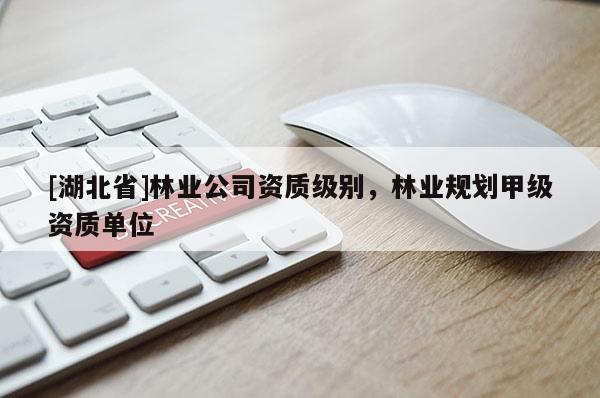 [湖北省]林業(yè)公司資質級別，林業(yè)規(guī)劃甲級資質單位