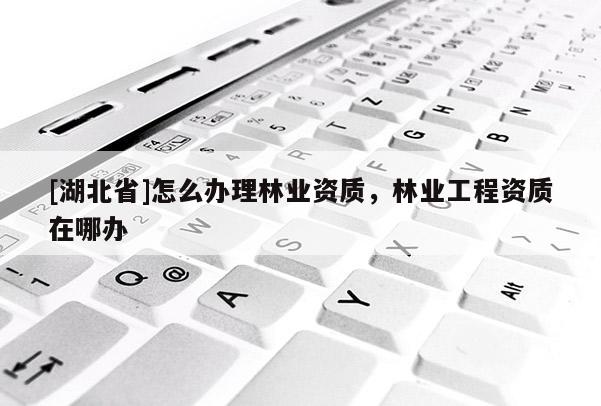 [湖北省]怎么辦理林業(yè)資質(zhì)，林業(yè)工程資質(zhì)在哪辦