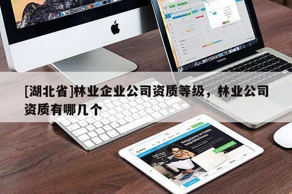 [湖北省]林業(yè)企業(yè)公司資質(zhì)等級，林業(yè)公司資質(zhì)有哪幾個