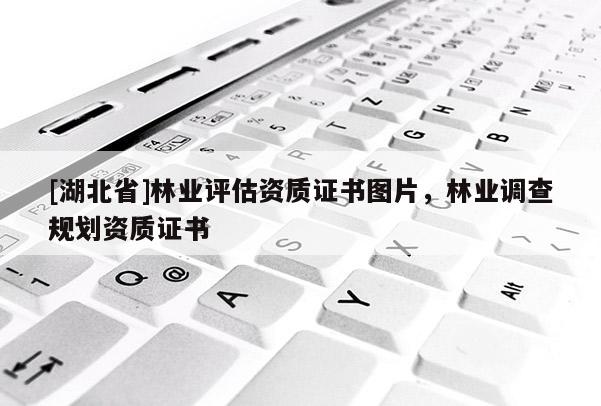 [湖北省]林業(yè)評估資質(zhì)證書圖片，林業(yè)調(diào)查規(guī)劃資質(zhì)證書