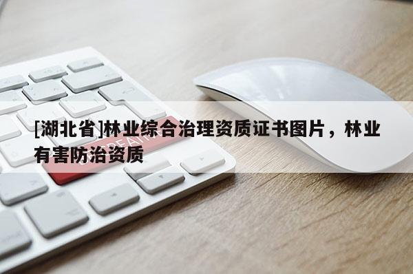 [湖北省]林業(yè)綜合治理資質(zhì)證書圖片，林業(yè)有害防治資質(zhì)